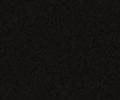 Banner-Bild