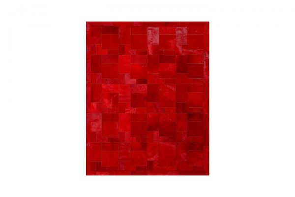 dermatino-xali-rosso-puzzle-2