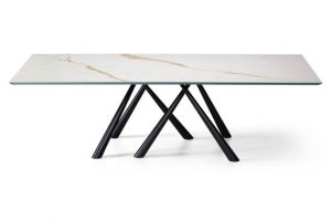 forest-table