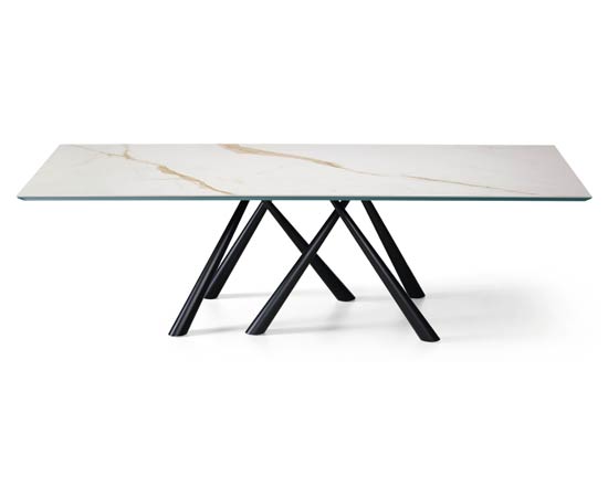 forest-table