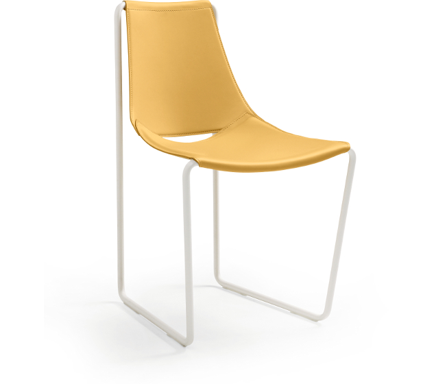 apelle-s
