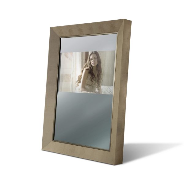 9995 – Floor Mirror with plasma TV