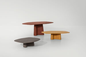 Organic Coffee table
