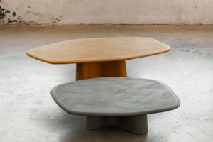 Organic Coffee table