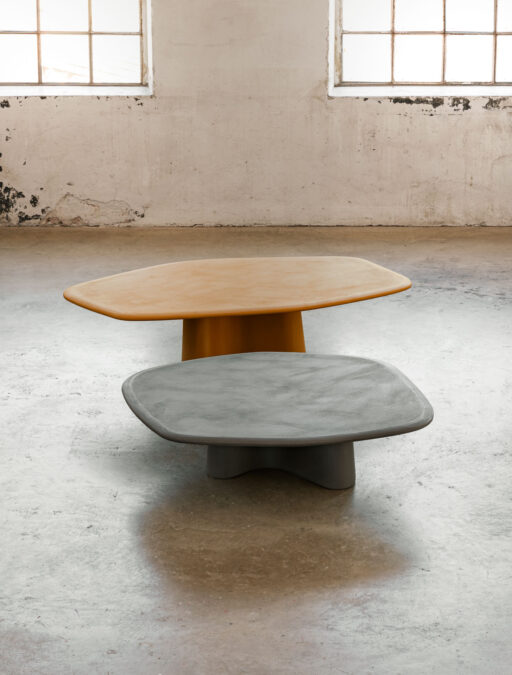 Organic Coffee table